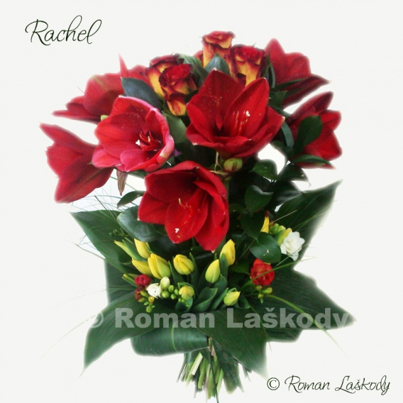 Kytica Rachel